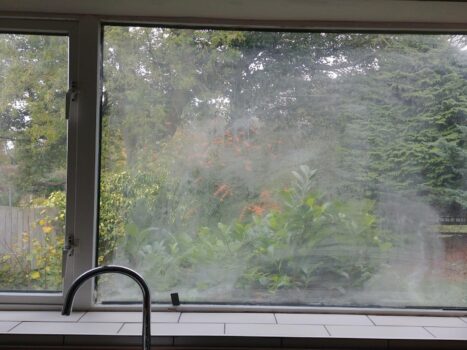 misted double glazing